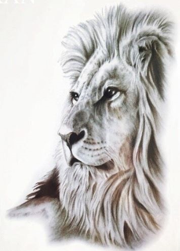 verkoop - attributen - Tattoo - Tattoo leeuw